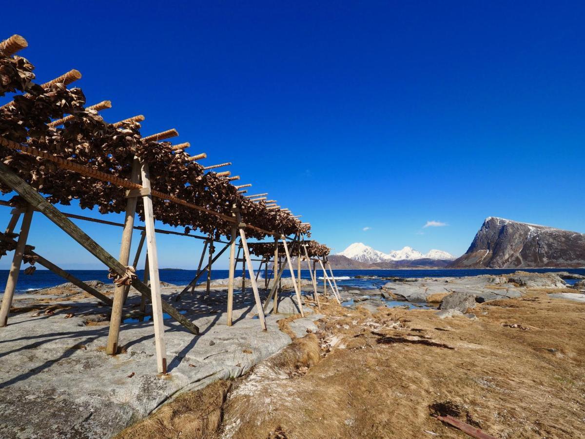 Eggum Rorbuer Villa Bostad ภายนอก รูปภาพ