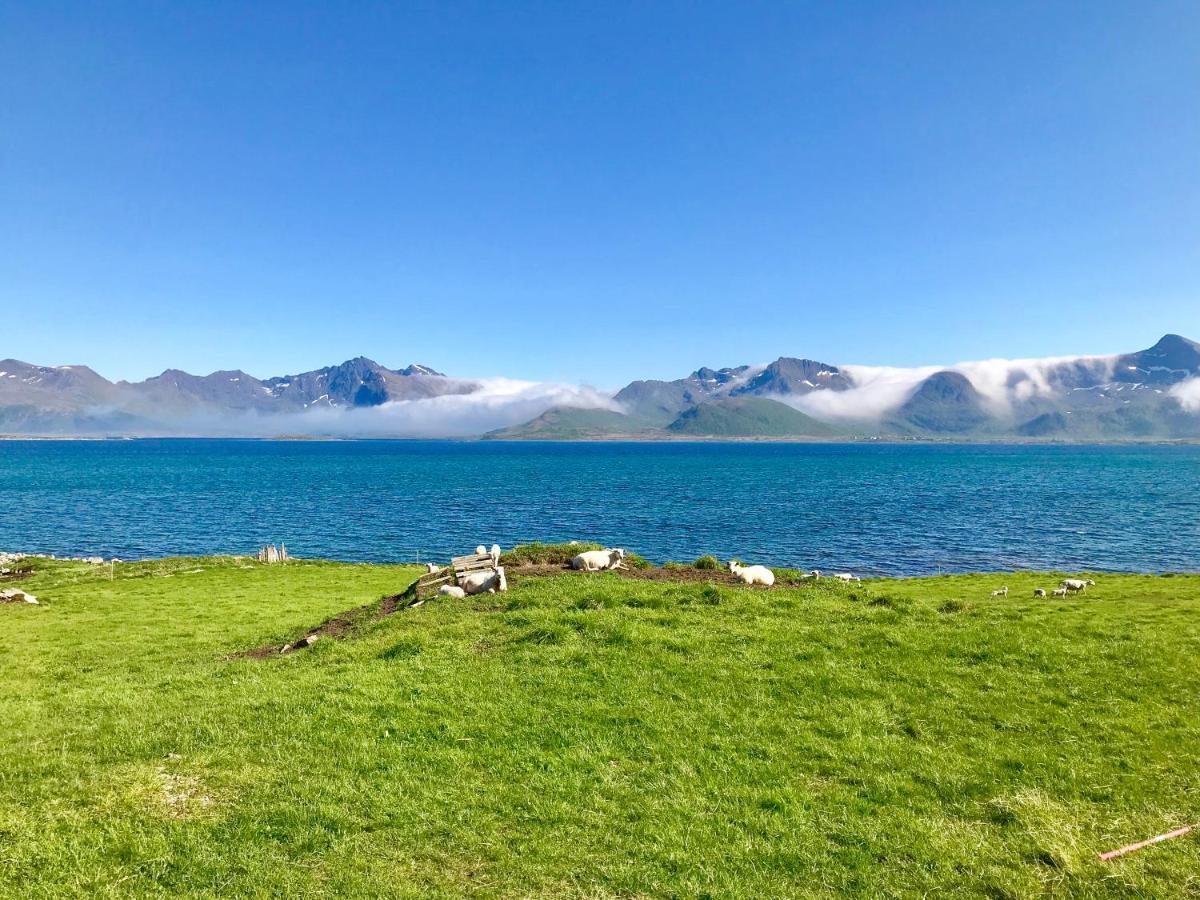 Eggum Rorbuer Villa Bostad ภายนอก รูปภาพ
